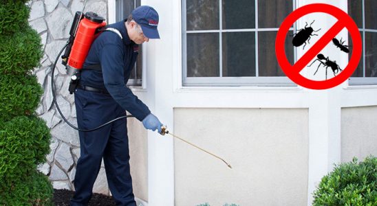 Karacasu Akrep İlaçlama böcek ilaçlama ve haşere kontrolü — ilaclama-tr.com